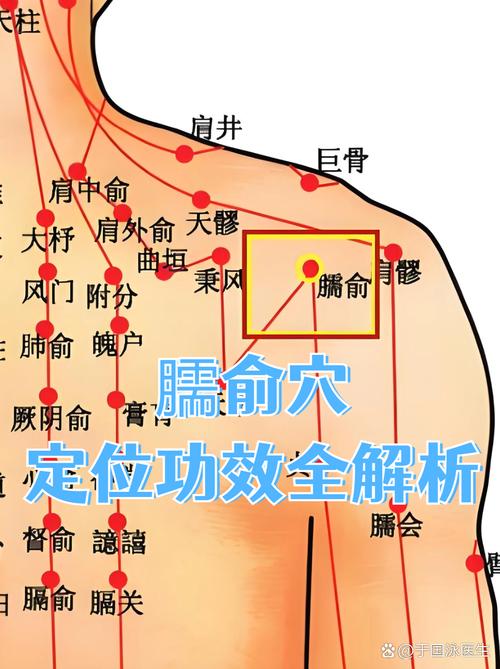 肩周炎穴位在什么位置