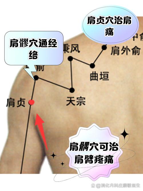 肩周炎穴位在什么位置