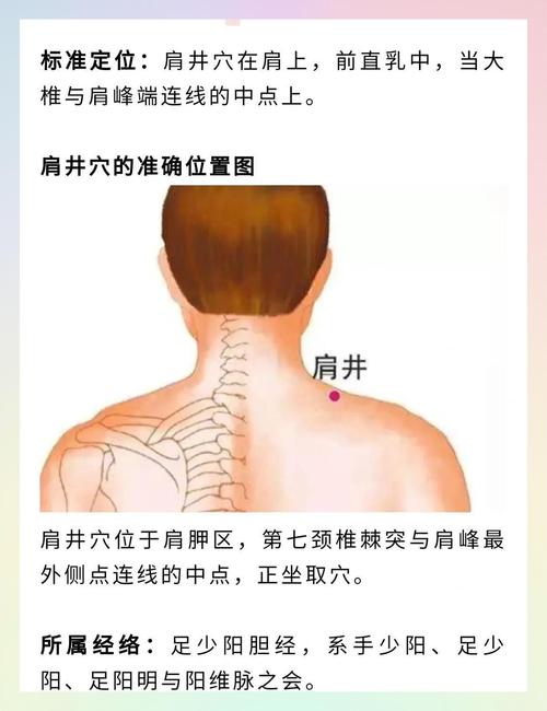 肩部减肥按摩什么穴位