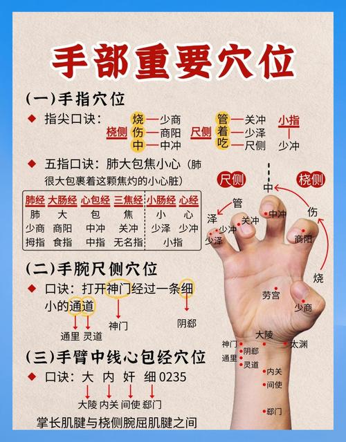 手部哪些穴位对应卵巢