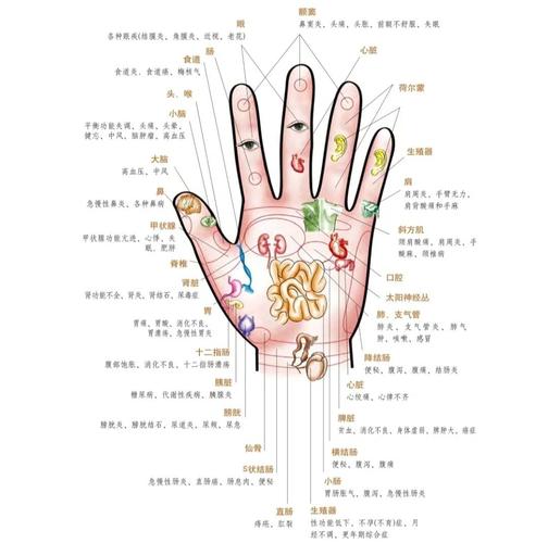 手部哪些穴位对应卵巢