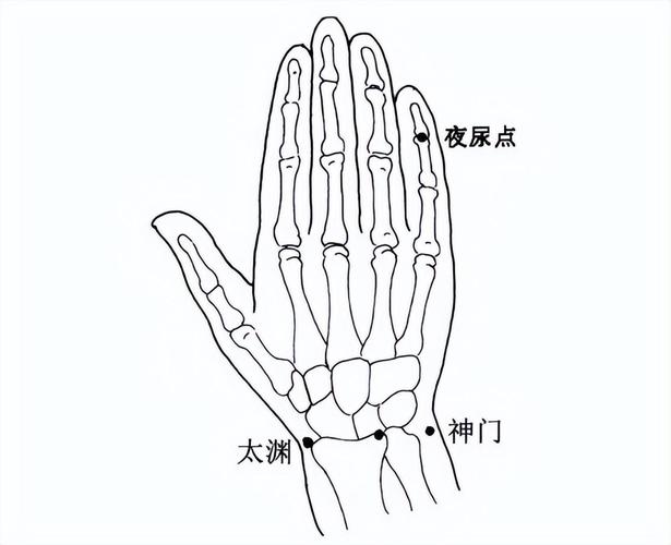 小便不禁按摩什么穴位