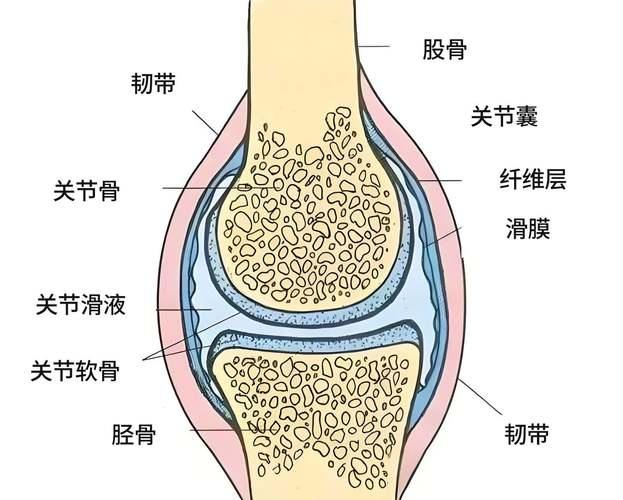 风湿类风湿治疗前海钻研