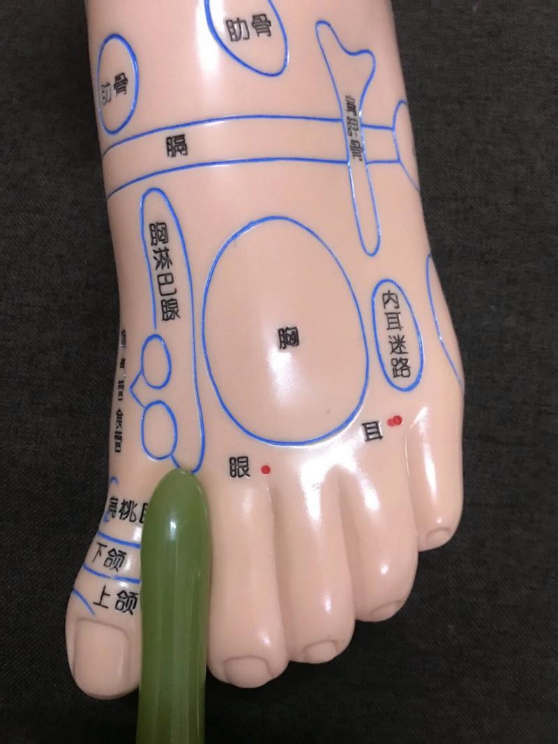 脚上哪个穴位对应乳线