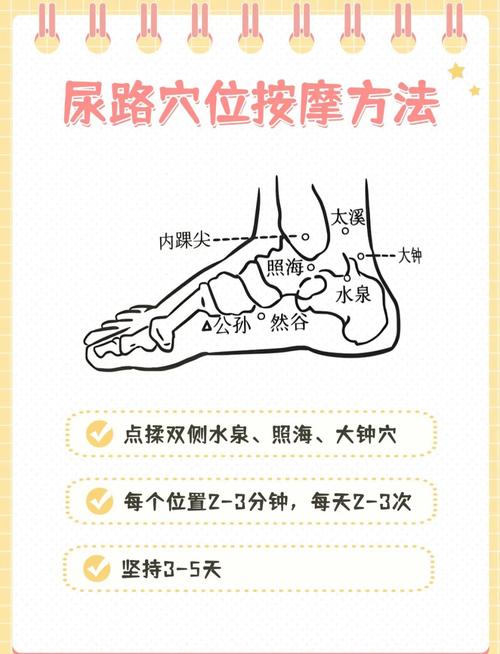 尿急尿频艾灸什么穴位