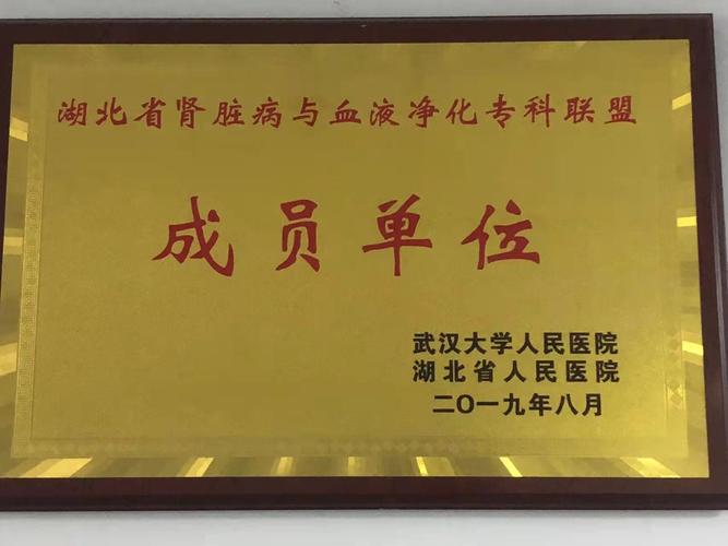 风湿免疫科 肾内风湿科