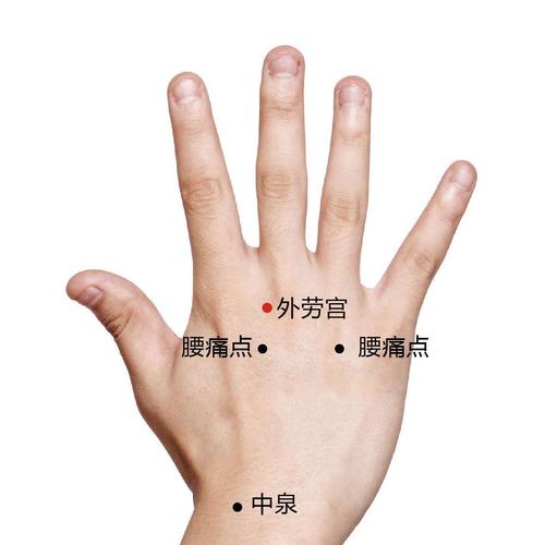 腹部胀满艾炙什么穴位