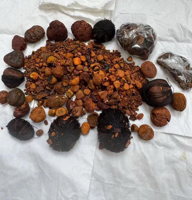 香港 脑梗 牛黄