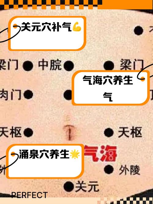 心率不齐艾灸什么穴位