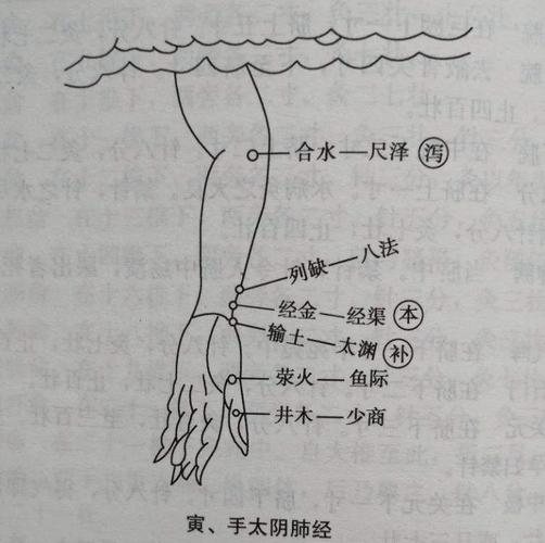 肺癌中期针灸哪个穴位