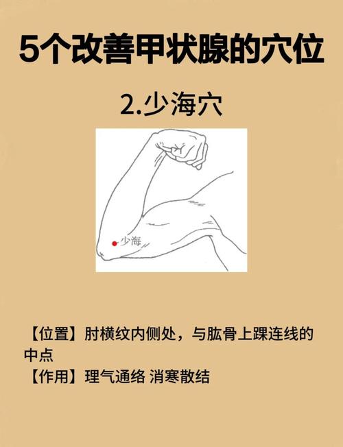 治疗甲亢按摩哪个穴位