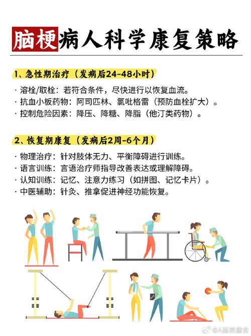 脑梗的脑梗的预防和治疗