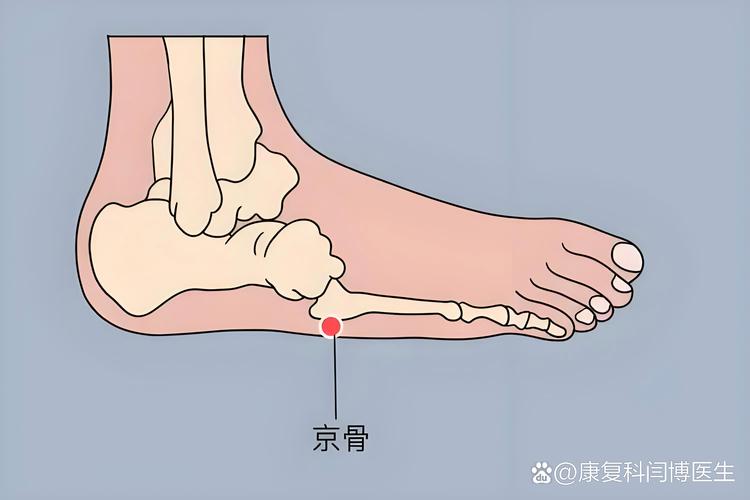 脚上哪个穴位治肩周炎