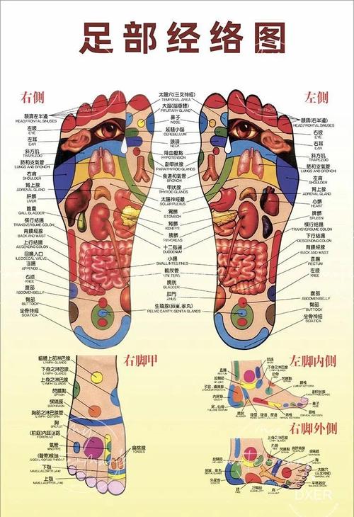 脚上哪个穴位治肩周炎
