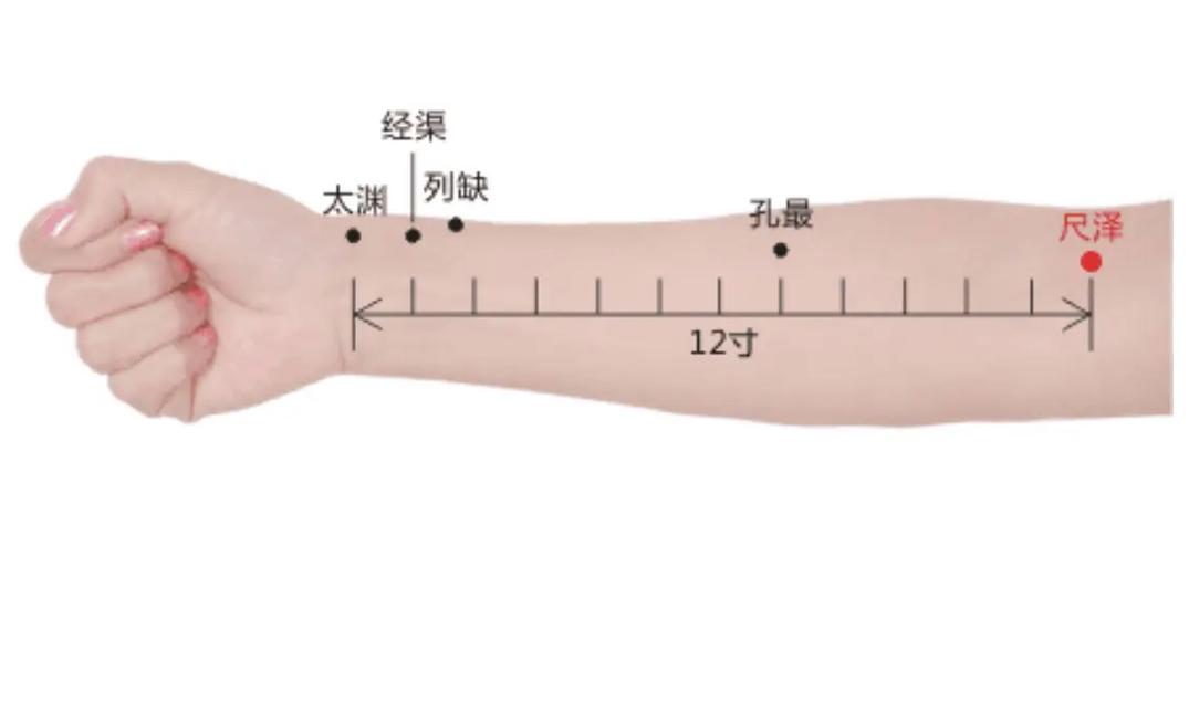 胳膊前臂穴位都有什么