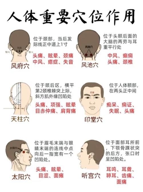 人体穴位与其功能作用