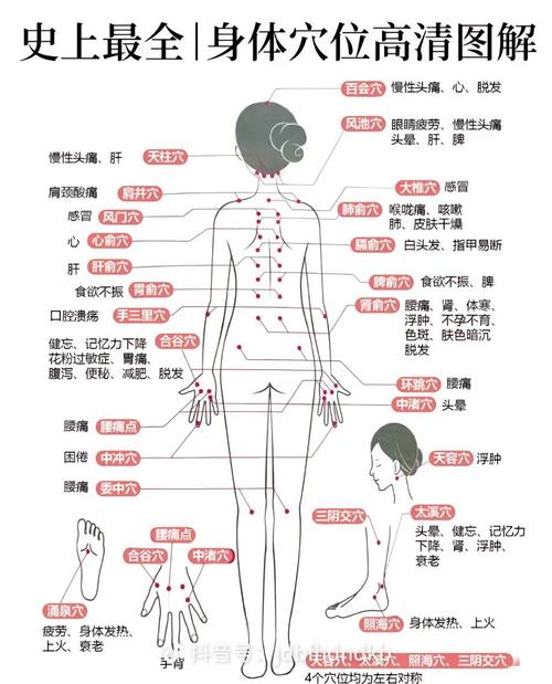 人体穴位与其功能作用
