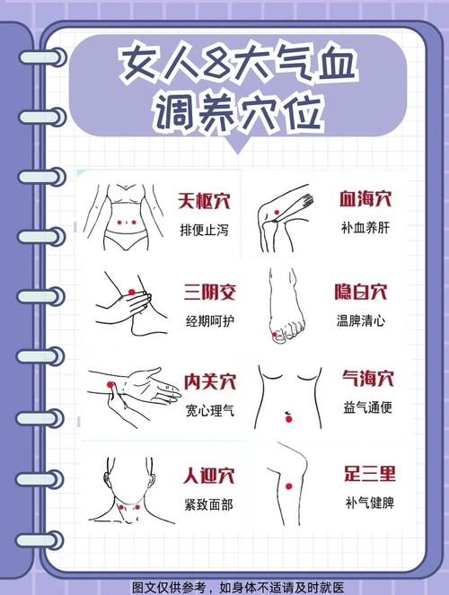 人体穴位与其功能作用