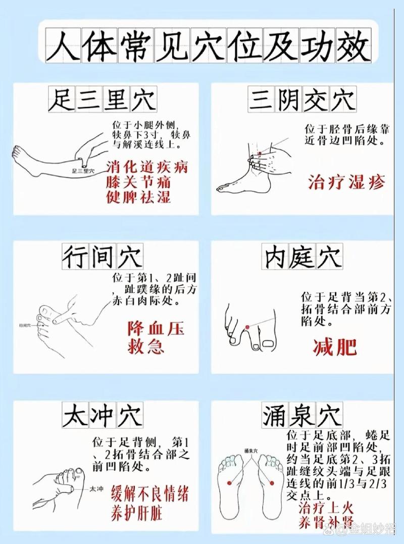 中医穴位经络治疗疾病