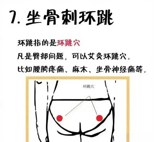 大腿外侧环跳风市穴位