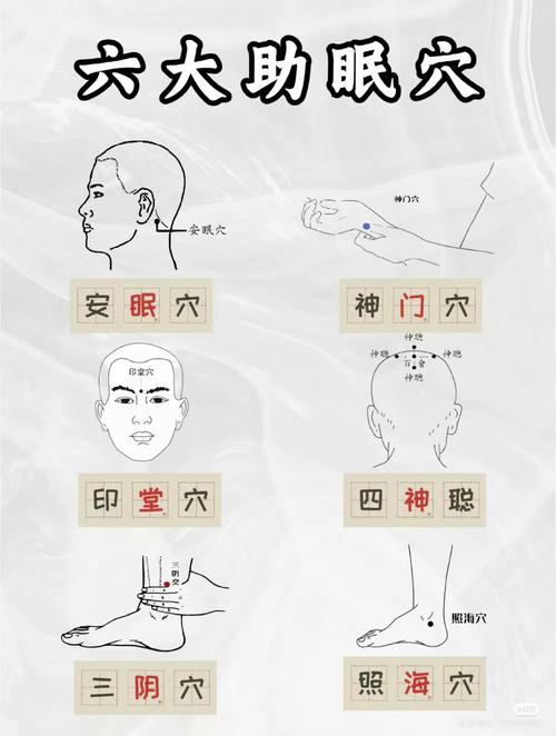 智力低下常用按摩穴位