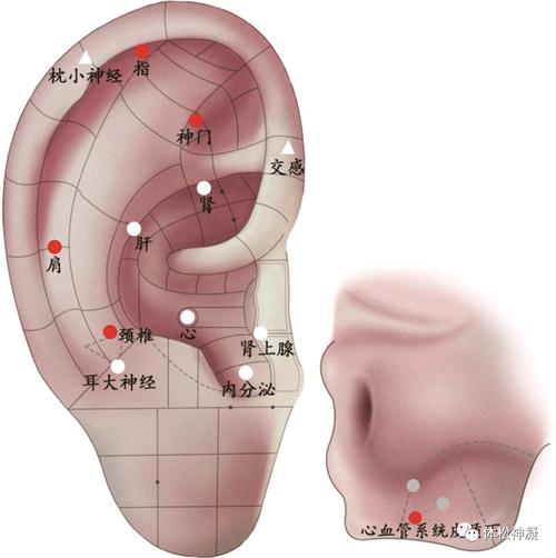 耳朵上有个穴位 颈椎