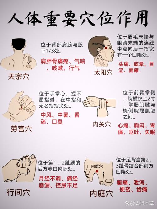 恐惧这个穴位怎么处理