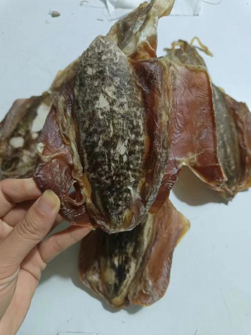 风湿类风湿可以吃墨鱼吗