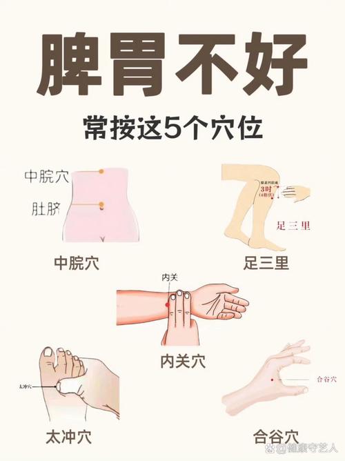 脾胃虚寒的 艾灸穴位