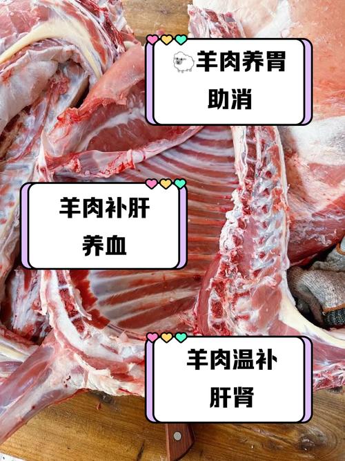 风湿类风湿可以吃羊肉吗