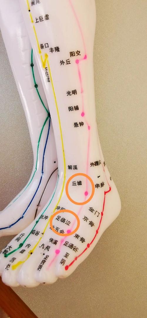 骨刺增生那就哪些穴位