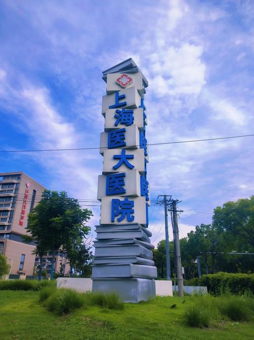 上海哪个医院看脑梗最好