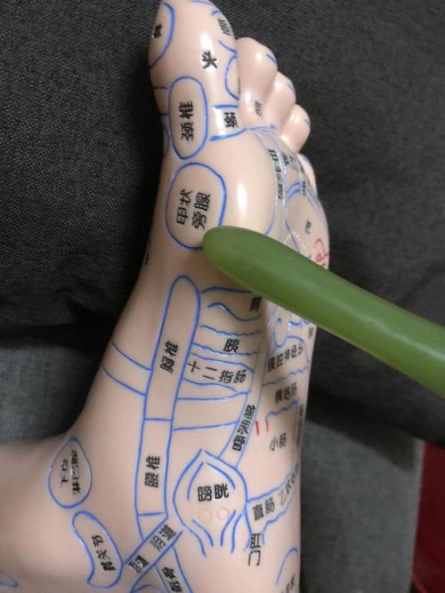 腰疼按摩脚底哪个穴位