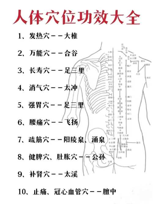 针灸穴位位置讲解大全