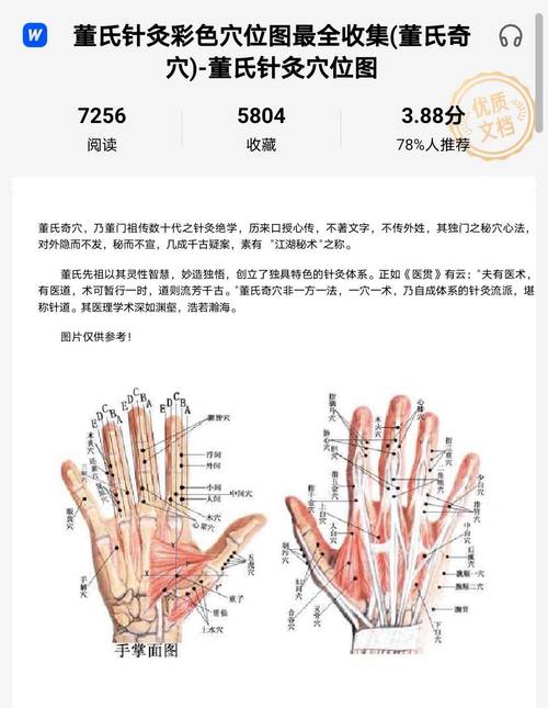 针灸穴位位置讲解大全