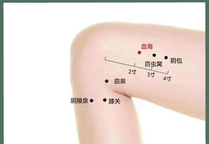血海 准确位置图穴位