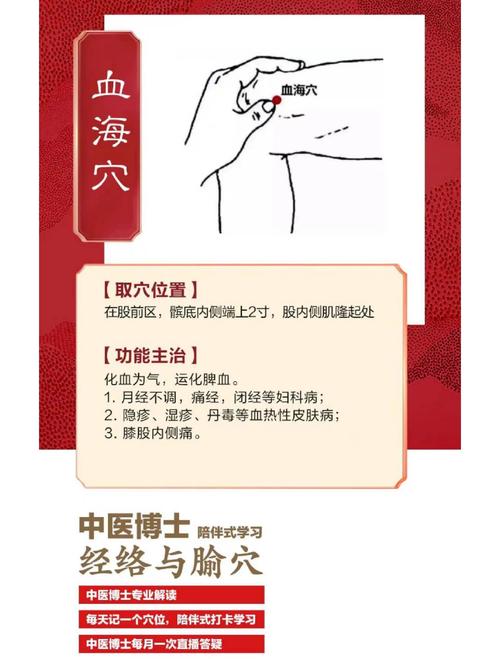 血海 准确位置图穴位