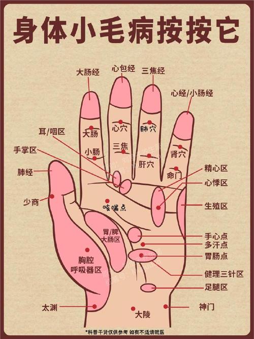 穴位密码图解视频大全