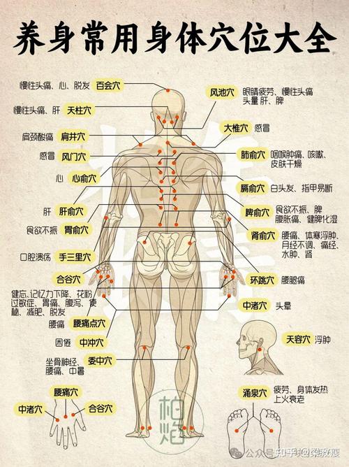 保健按摩 常用的穴位