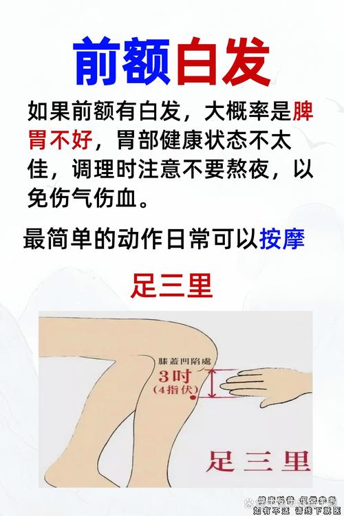 针刺哪个穴位治疗白发