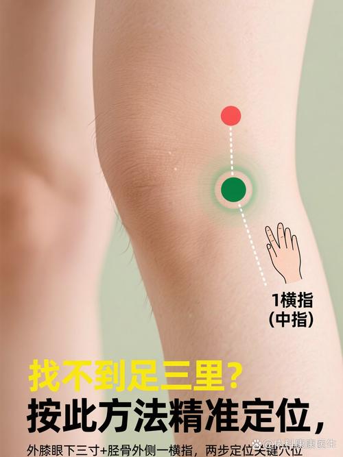 腿上穴位按摩手法膝盖
