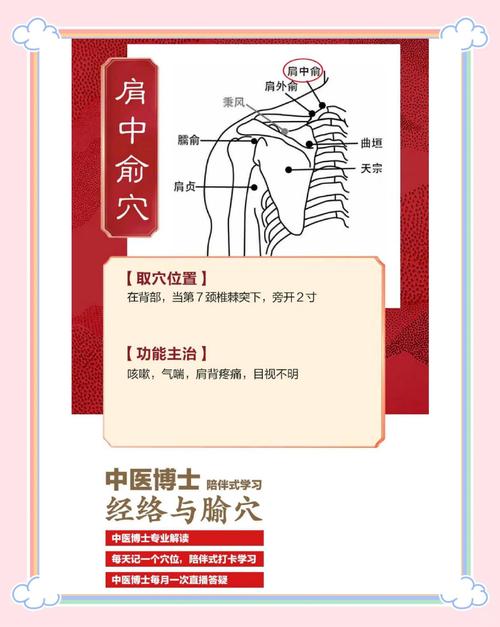 按摩穴位缓解背部不适