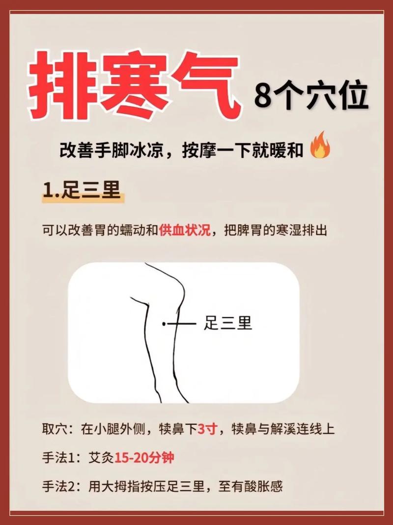 手脚凉 艾灸哪些穴位