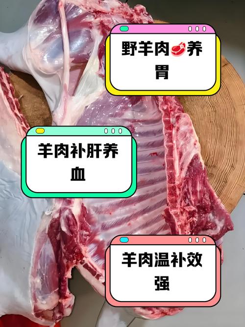类风湿 风湿能吃羊肉吗