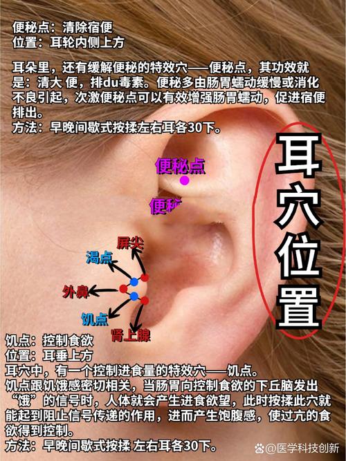 耳朵的穴位 睡眠不好