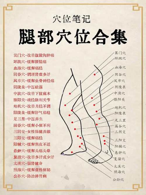 大腿侧面都有什么穴位