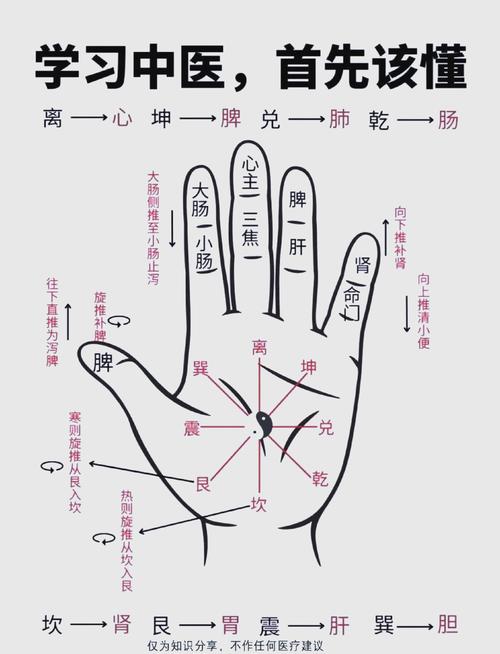 右手食指对应什么穴位