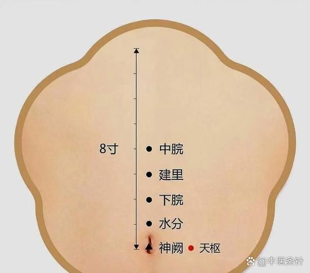 小儿腹泻艾灸哪些穴位