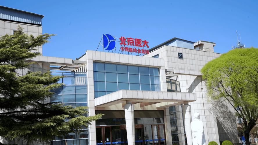 北京治疗脑梗最好的医院