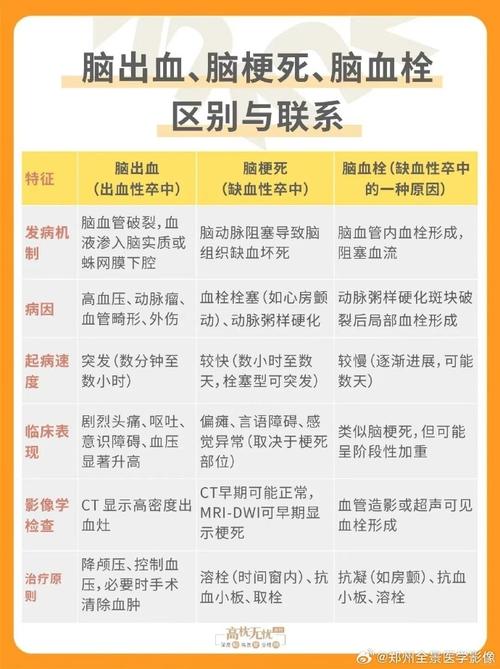 脑梗和脑血栓有什么区别